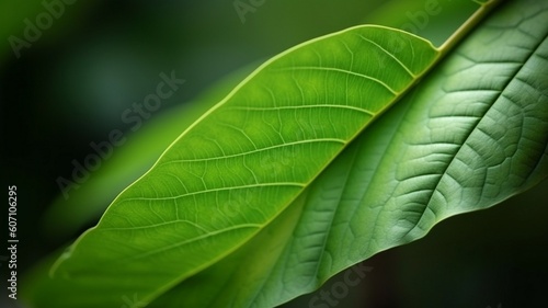 close up of green leaf Generative AI