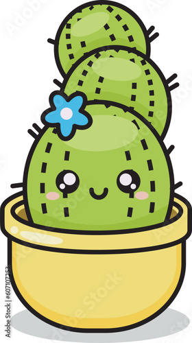 cactus in pot