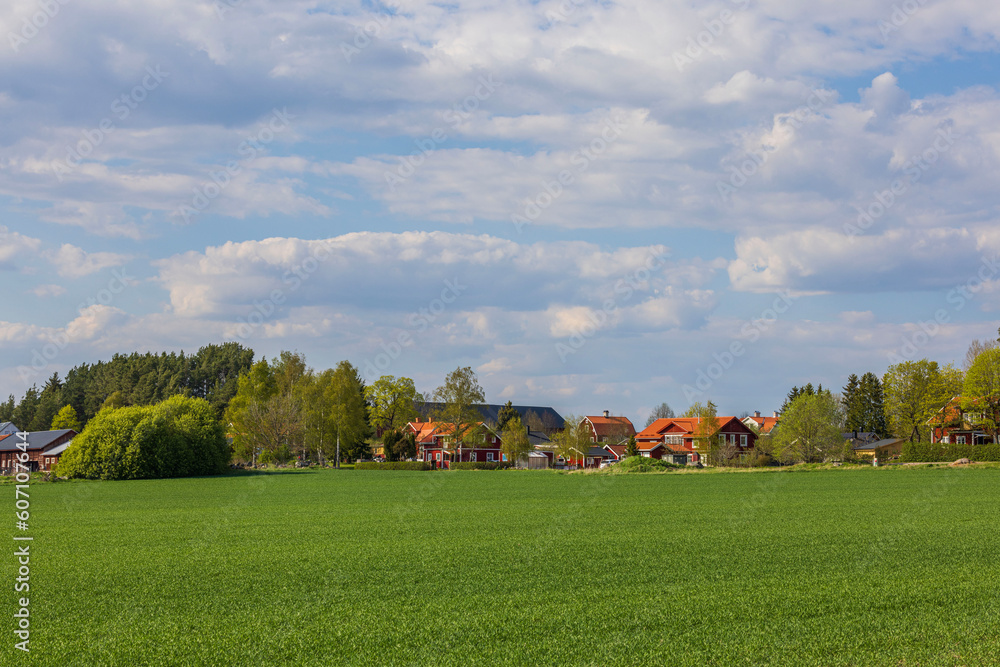 Beautiful view of agricultural fields with seedlings on outskirts of village. Sweden. Beautiful view of agricultural fields with seedlings on outskirts of village. Sweden.