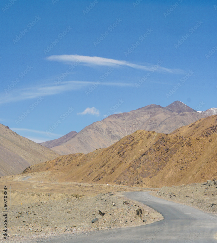 peaceful wid life in himalaya mountain area, view from ladakh, india
