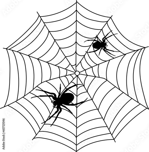Scary black spider web isolated on white. Spooky halloween decoration.