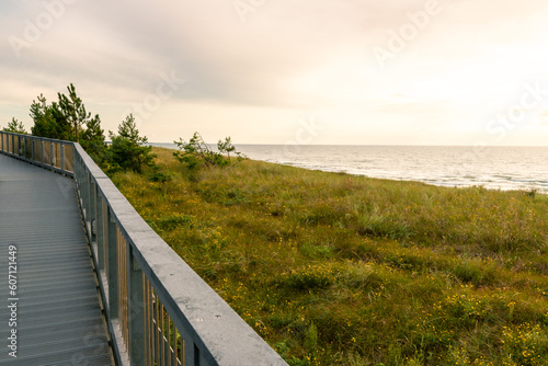 A wooden walking platform surrounded by seaside plants. Dunes covered with various species of grass. Baltic coast. Sunset. Darlowo  Poland