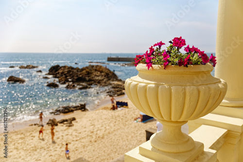 Front de mer à Porto, fleurs en pot sur fond de plage, Praia dos Ingleses, Pergola da Foz