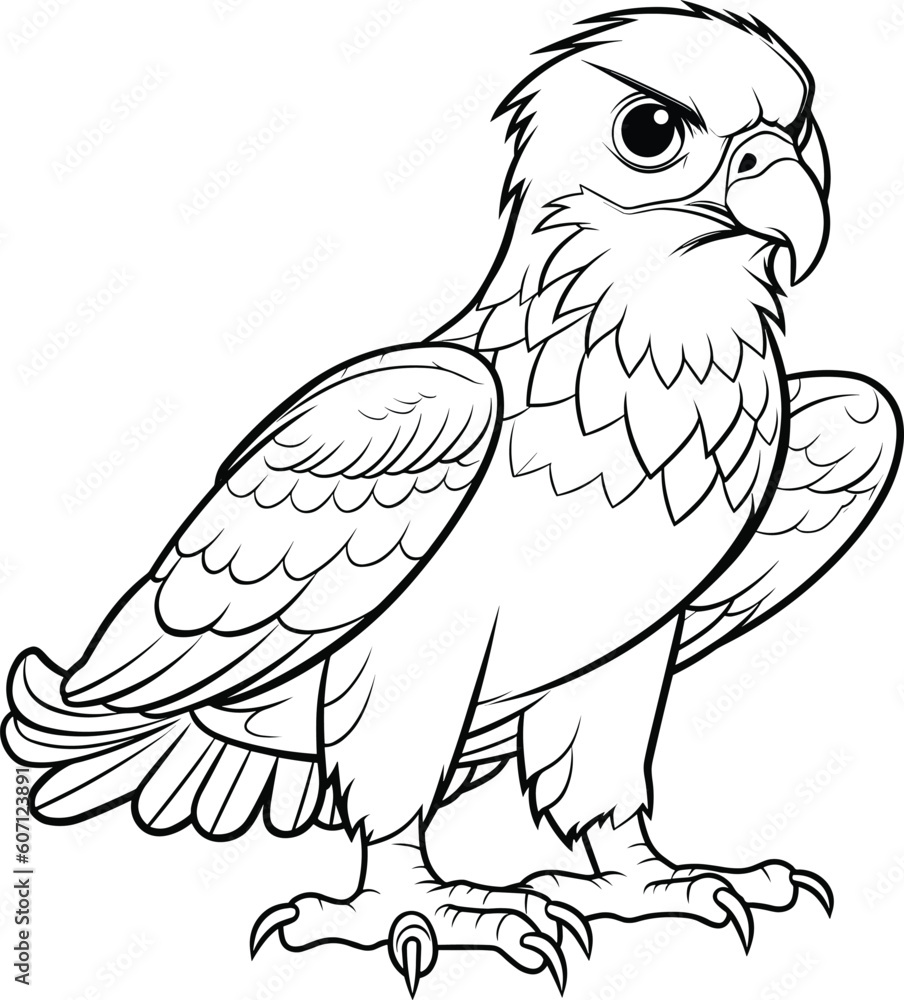 Hawk, colouring book for kids, vector illustration