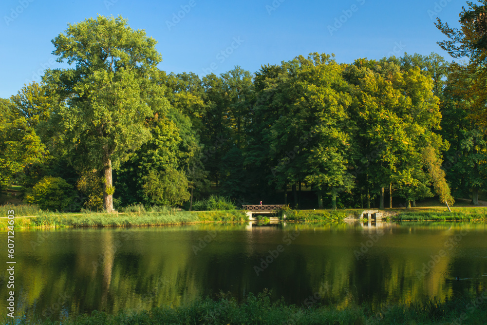 Obraz na płótnie Wysokie drzewa parkowe otaczające jezioro w salonie