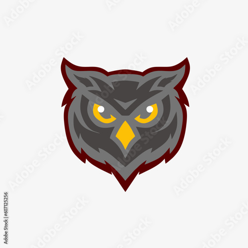 Owl mascot logo design