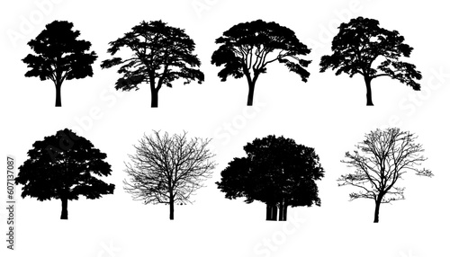 set of tree silhouettes - vector illustration  collection