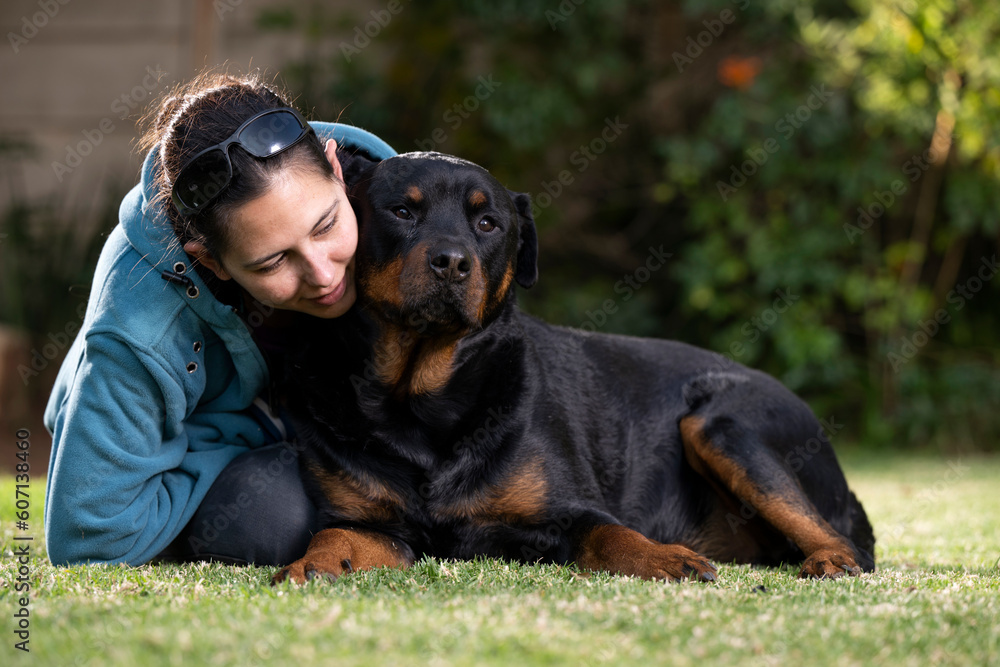 Gorgeous Rottweiler being an absolute teddy bear looking for cuddles with mommy, being very affectionate and loving. Showing the special bond that can exist between a pet and the matriarch of the home