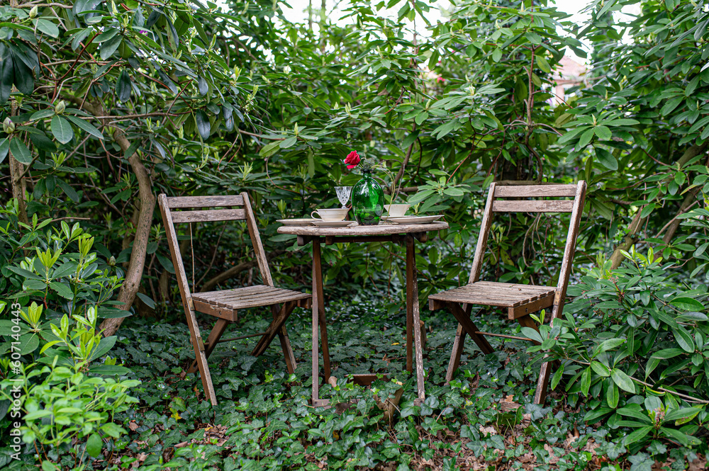 Obraz premium Stühle im Grünen