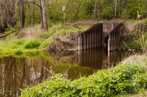Riverbank with Grass: Close-Up View