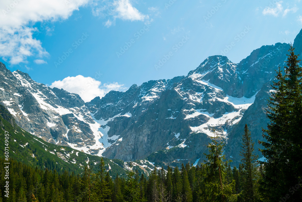 beautiful landscape view of nature and forest in the mountains in Zakopane Poland in the Tatra National Park