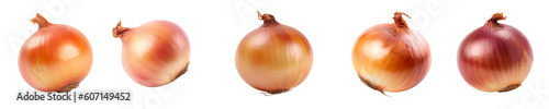 Set of onion isolated on transparent background 