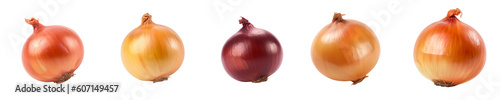Set of onion isolated on transparent background	