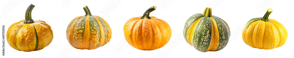 Set of squash isolated on transparent background Set of squash isolated on transparent background