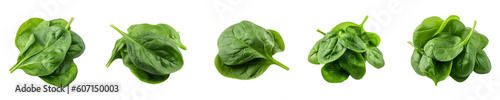 Set of spinach isolated on transparent background	