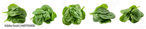 Set of spinach isolated on transparent background	