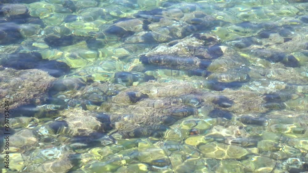 Rocks, pebbles and algae in the clear water of the Adriatic Sea, illuminated by sunlight, background Rocks, pebbles and algae in the clear water of the Adriatic Sea, illuminated by sunlight, background