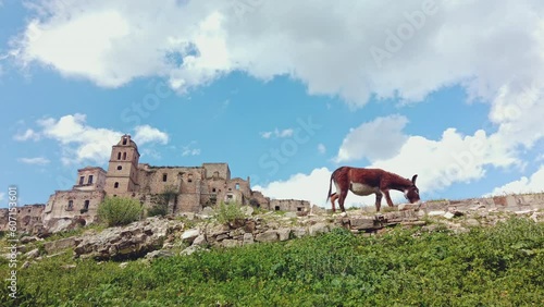 The abandoned village of Craco in the province of Matera and a donkey grazing photo