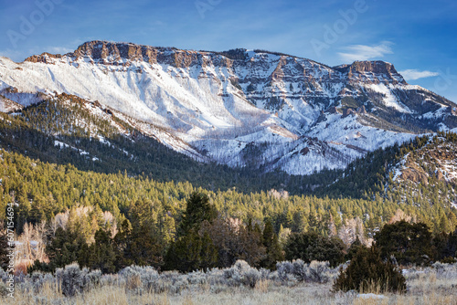 Snow-covered mountain and forest landscape in winter at Shoshone National Forest northwest Wyoming Rocky Mountain wilderness, © tomolsonphoto.com