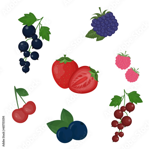 Fototapeta Naklejka Na Ścianę i Meble -  strawberry,cherry and other berries .food vector illustration