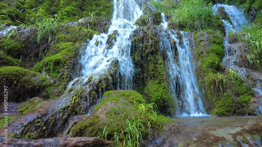 waterfall in the forest waterfall in the forest