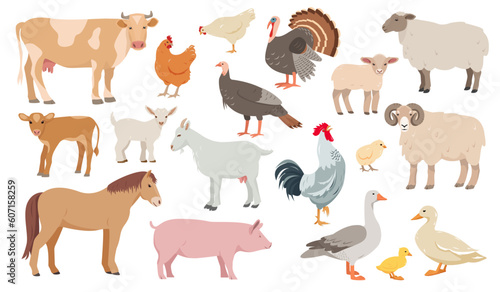 Set of farm animals in different poses and colors. Cow, sheep, pig, ram, horse and goat. Hen, turkey, duck, goose and kids. Vector icons flat or cartoon illustration.