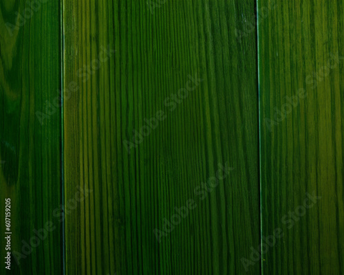 Fondo con detalle y textura de superficie de madera con vetas y tonos de color verde