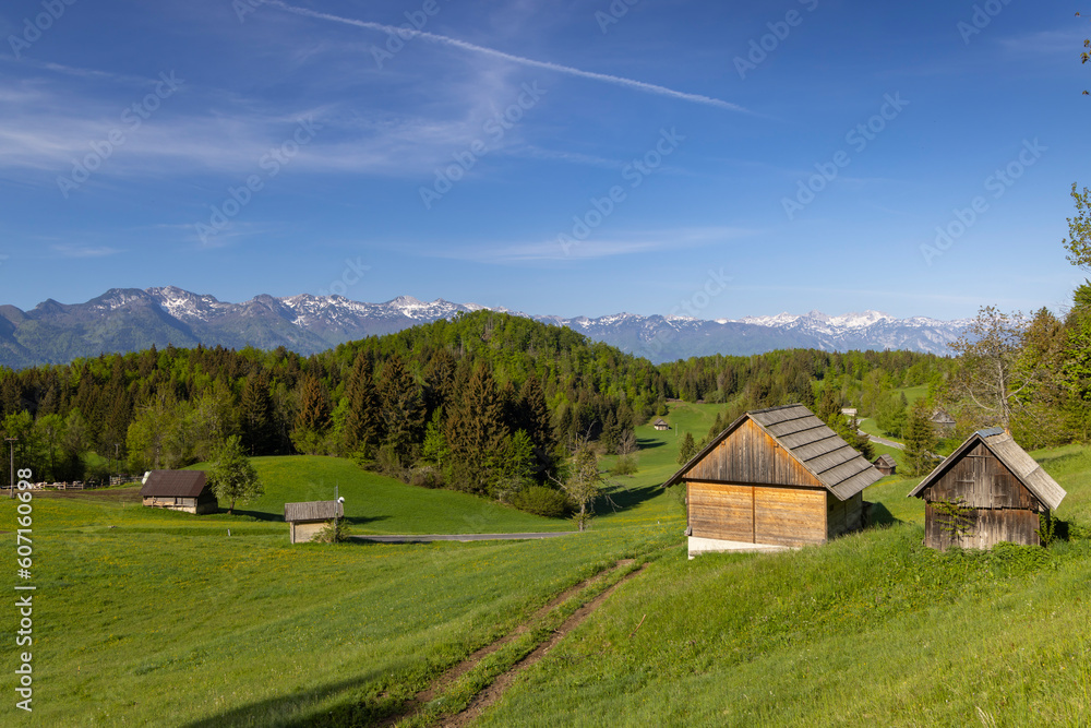 Typical wooden log cabins in Gorjuse, Triglavski national park, Slovenia Typical wooden log cabins in Gorjuse, Triglavski national park, Slovenia