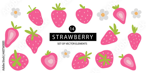 Strawberry. Hand drawing vector illustration set. Summer sweet berry and flower. Decorative elements.