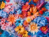 Background of colorful blossoming flowers with gentle petals and pleasant aroma growing in garden. Top view. Blue background.
