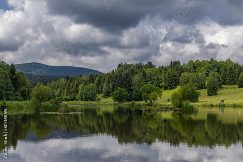 Pond near Poniatow Rudawa, Orlicke mountains, Okres Kladzko, Poland