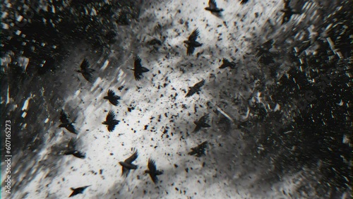 Creepy birds vultures on a grunge black and white background, a plot from a nightmare for halloween. 