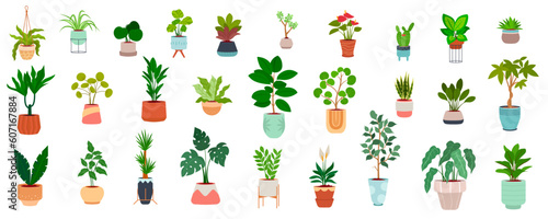 Urban jungle, trendy home decor with plants. Trendy potted plants for home. Vector illustration