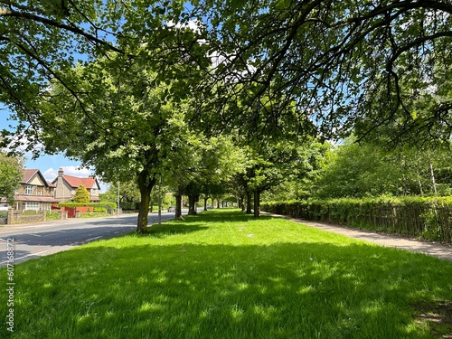 View along, Halifax Road, with green spaces, old trees, and residential housing, on a spring day near, Bradford, UK