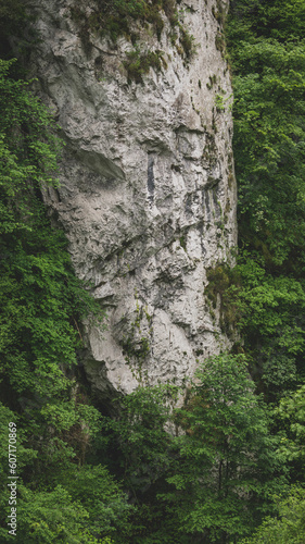 Stunning rocky mountain wall covered by green vegetation