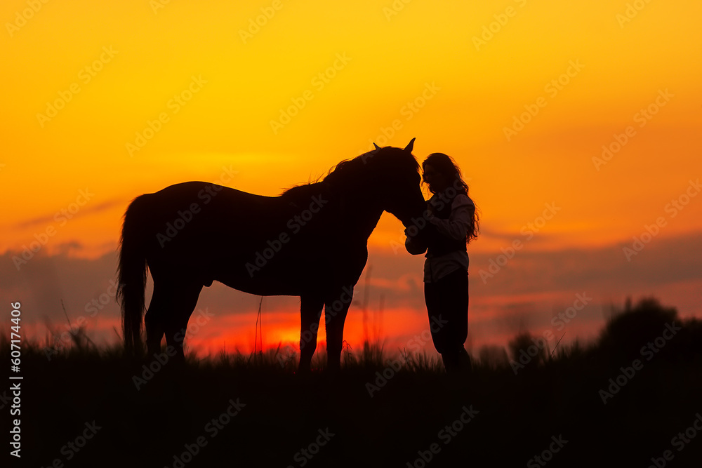 silhouette of a woman with a horse