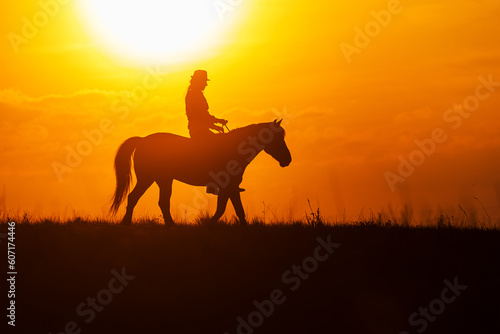 silhouette of a woman riding a horse © michal