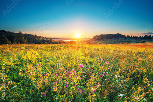 Beautiful rural sunset over wild grass in a countryside