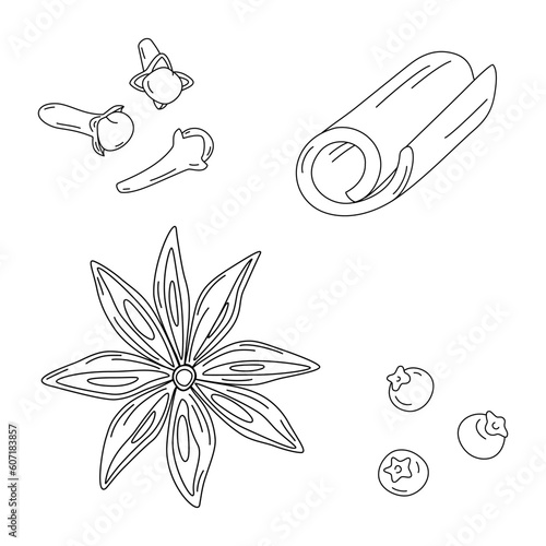 Hand drawn set of spices for mulled wine. Cinnamon stick, cloves, star anise and allspice. Vector.