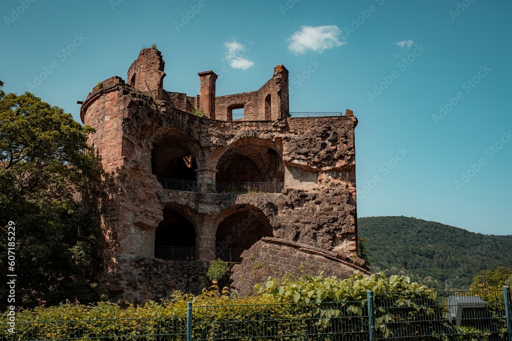 Fototapeta premium ruins of the old castle