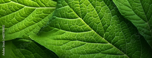 Macro leaves backgrounds and textures, leaf Generative AI