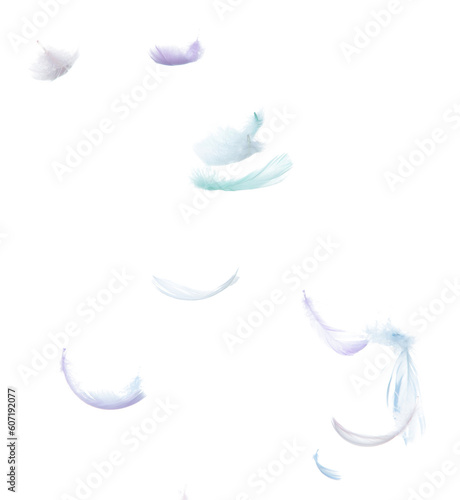 Many Pastel Feather fly fall in Air over white background isolated. Puffy Fluffy soft feathers as purity smooth like dream floating dove in sky. Angle flying from heaven, photo motion