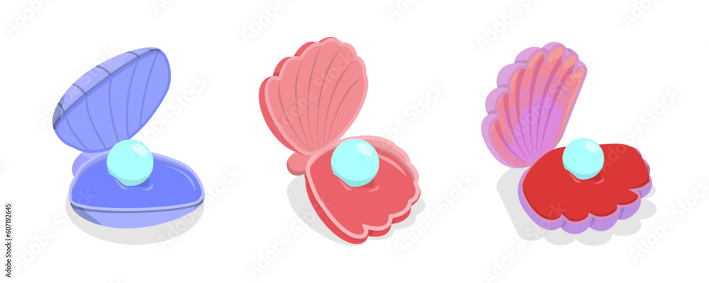 3D Isometric Flat Vector Set of Pearl Shells, Open Seashell Scallops 3D Isometric Flat Vector Set of Pearl Shells, Open Seashell Scallops