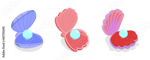 3D Isometric Flat Vector Set of Pearl Shells, Open Seashell Scallops