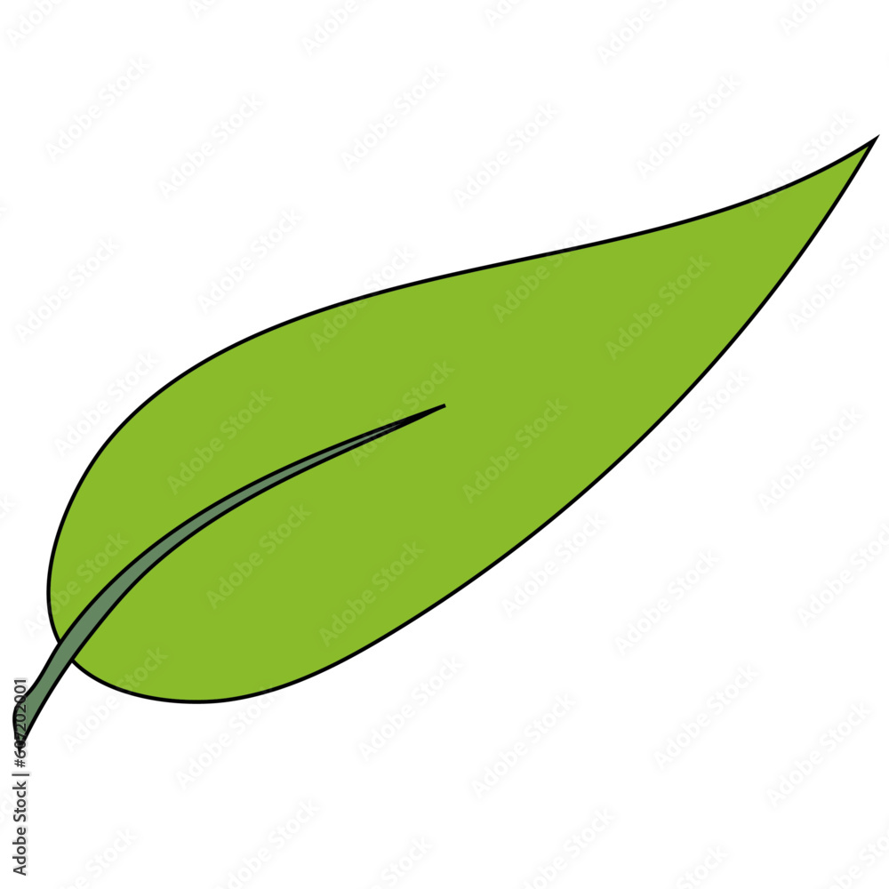 A green leaf A green leaf