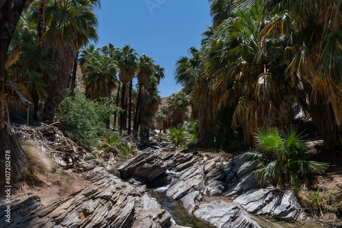 Scenic Palm Canyon Creek vista in Palm Springs, Southern California