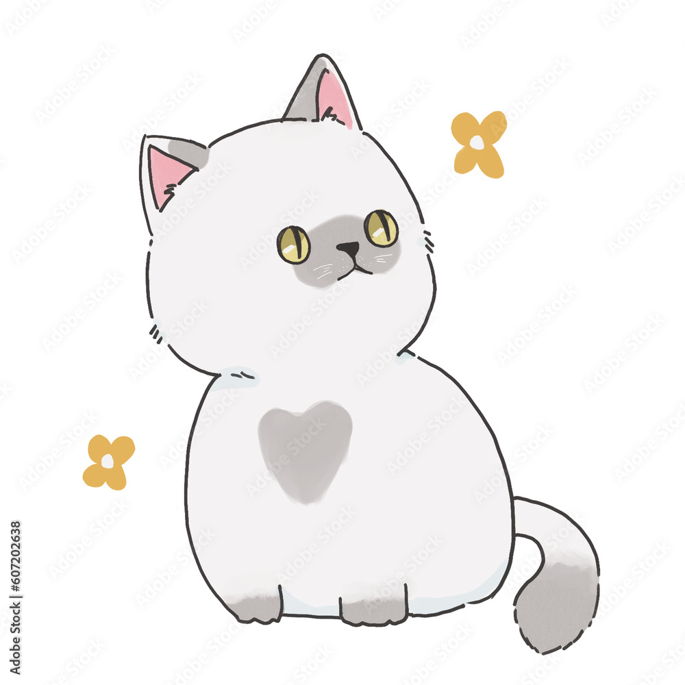 Obraz premium cat with a heart