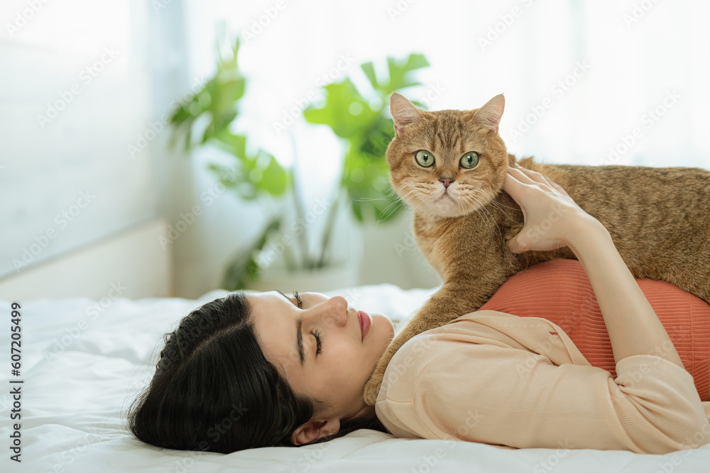 Young Asian woman playing with her cat at home Young Asian woman playing with her cat at home