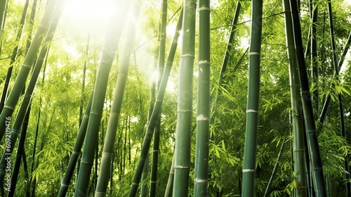 A serene bamboo forest with sun rays shining through. Generative AI