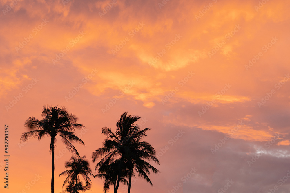 Real photo Nature beautiful background. Morning yellow orange pink clouds palm tree tops silhouette